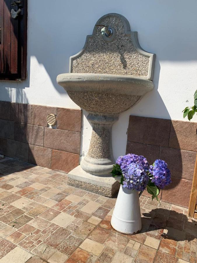 Maison Diletta Каселето сопра Тичино Екстериор снимка